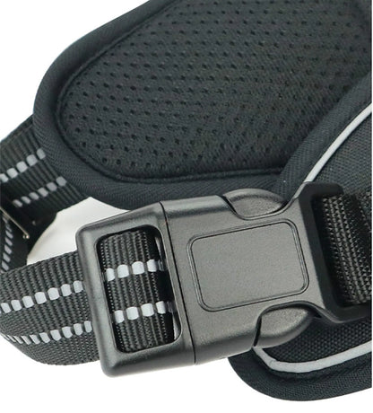 Waterproof Pet Harness