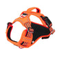 Waterproof Pet Harness